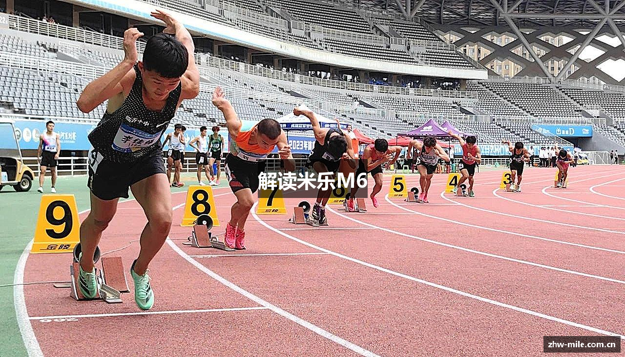 解读米乐M6